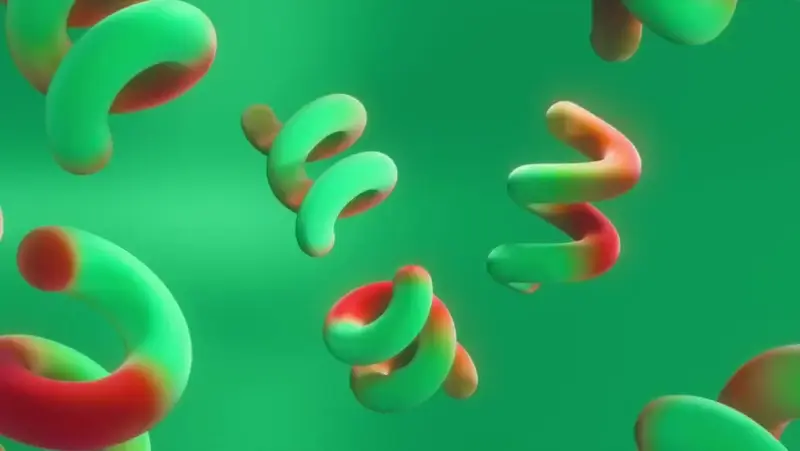 ARGUS: AI/IoT Assistive System